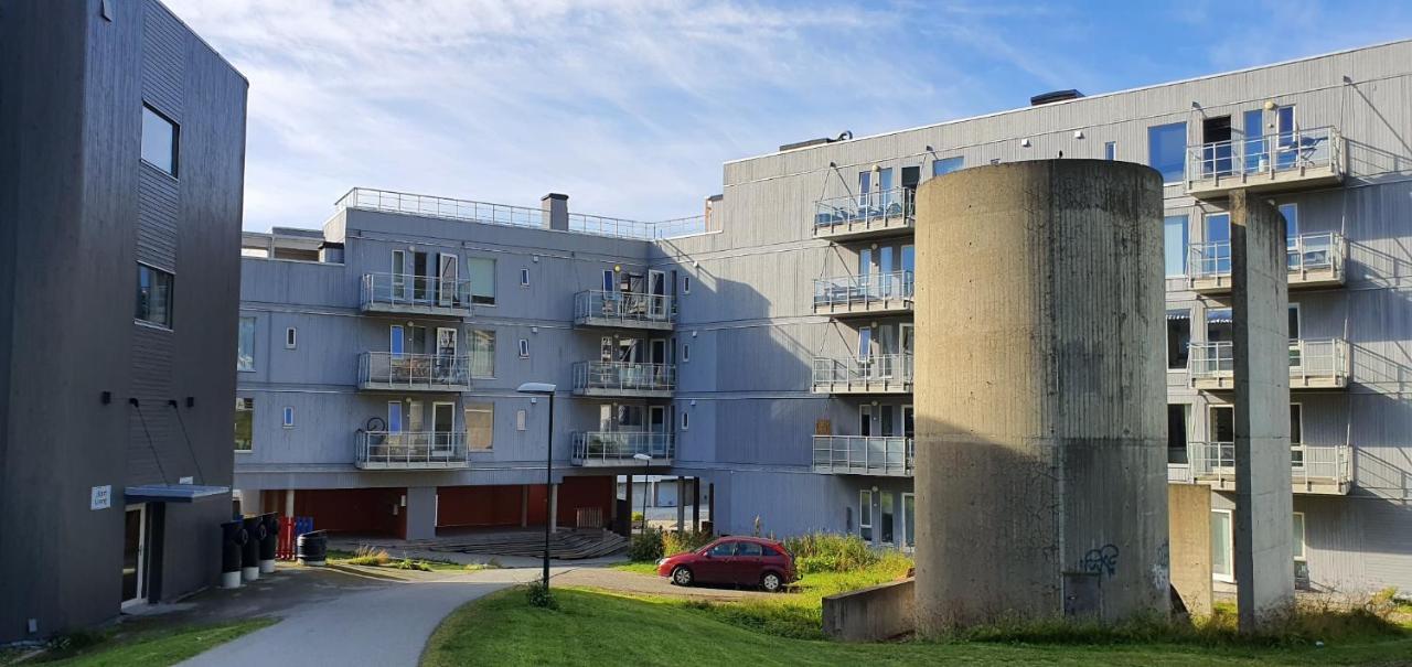 Northern Dreams Apartment With Free Parking Tromsø Exteriér fotografie