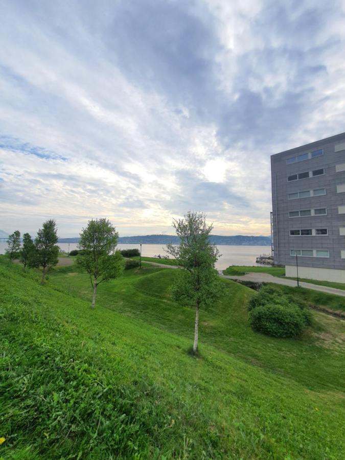Northern Dreams Apartment With Free Parking Tromsø Exteriér fotografie